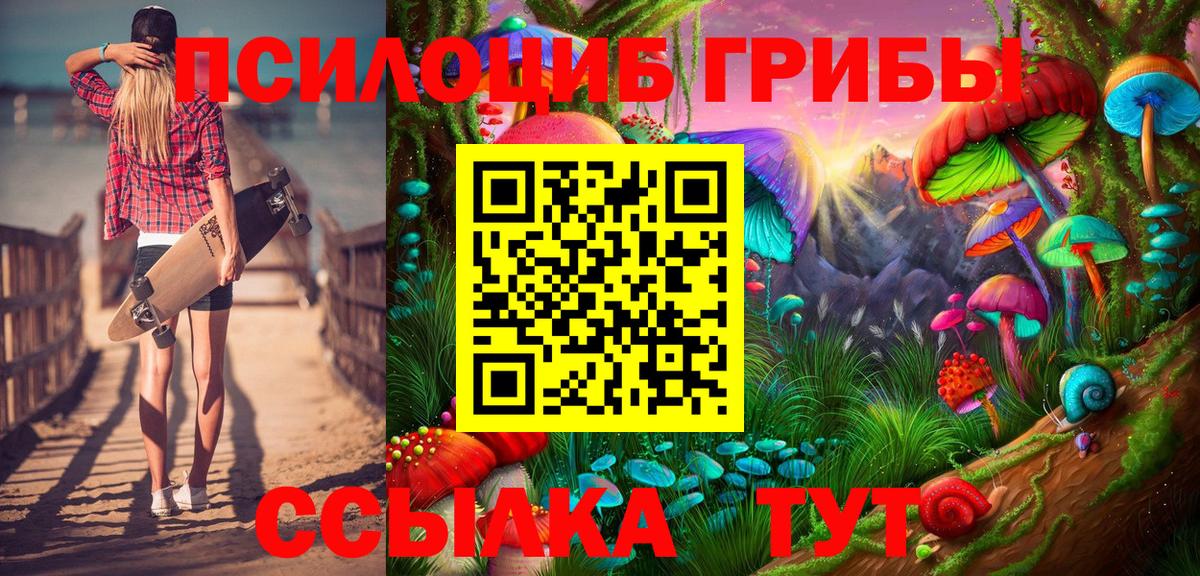Псилоцибиновые грибы Psilocybine cubensis Магадан