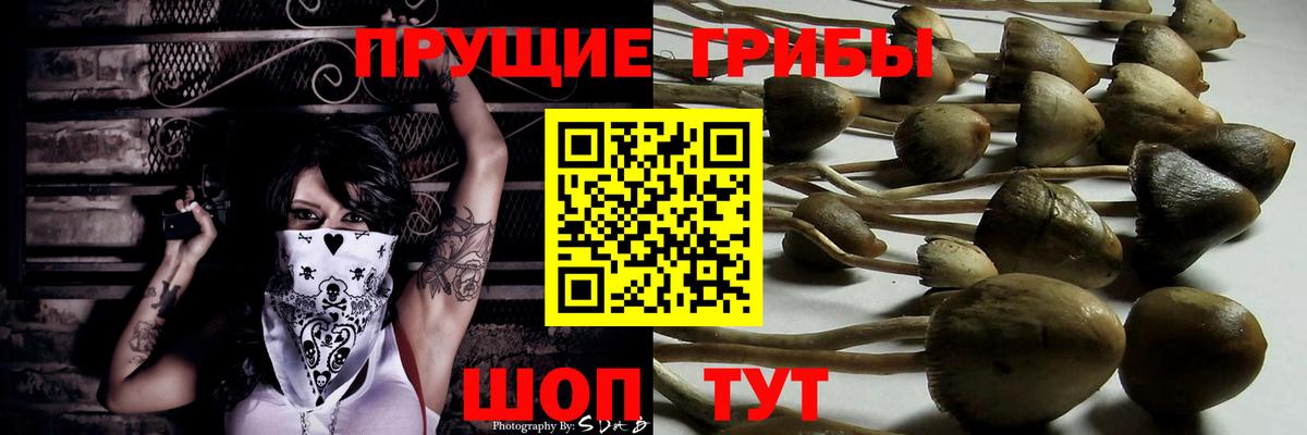 Галлюциногенные грибы Cubensis  Вход с VPN  Магадан 